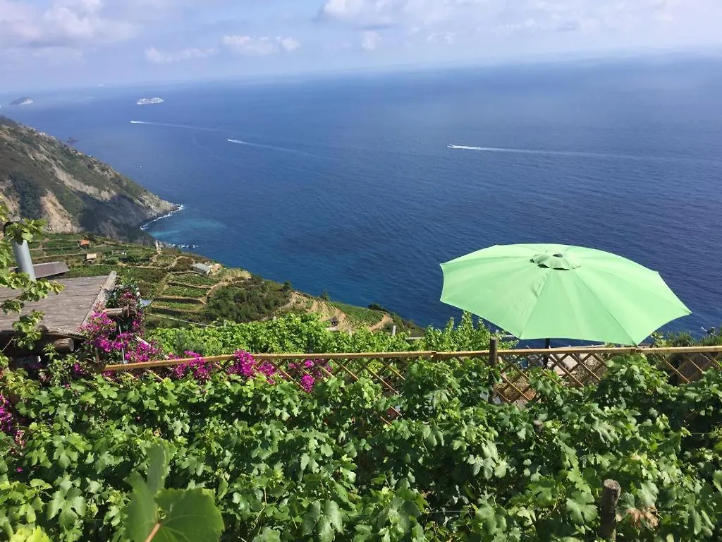 Refuge Uwabio Organic Vineyard Cinqueterre Villa Riomaggiore Italy