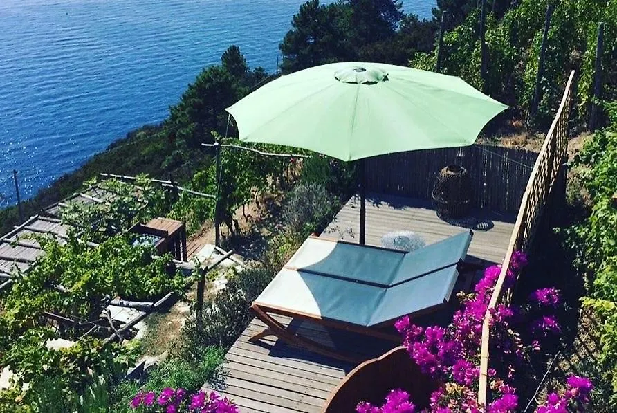 Refuge Uwabio Organic Vineyard Cinqueterre Villa Riomaggiore Italy