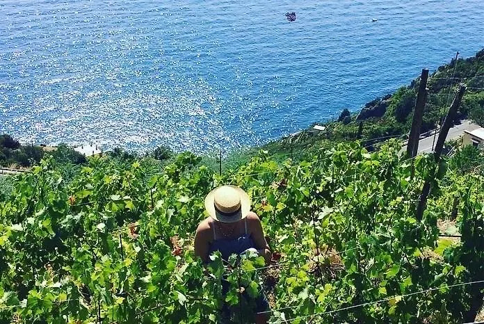 Refuge Uwabio Organic Vineyard Cinqueterre Villa Riomaggiore