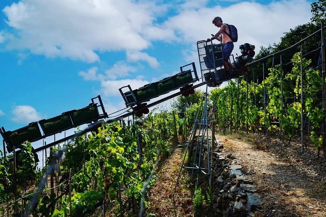 Refuge Uwabio Organic Vineyard Cinqueterre Villa Riomaggiore