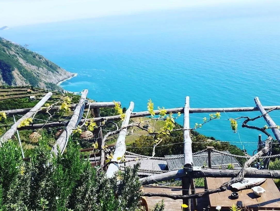 Refuge Uwabio Organic Vineyard Cinqueterre Villa Riomaggiore Italy