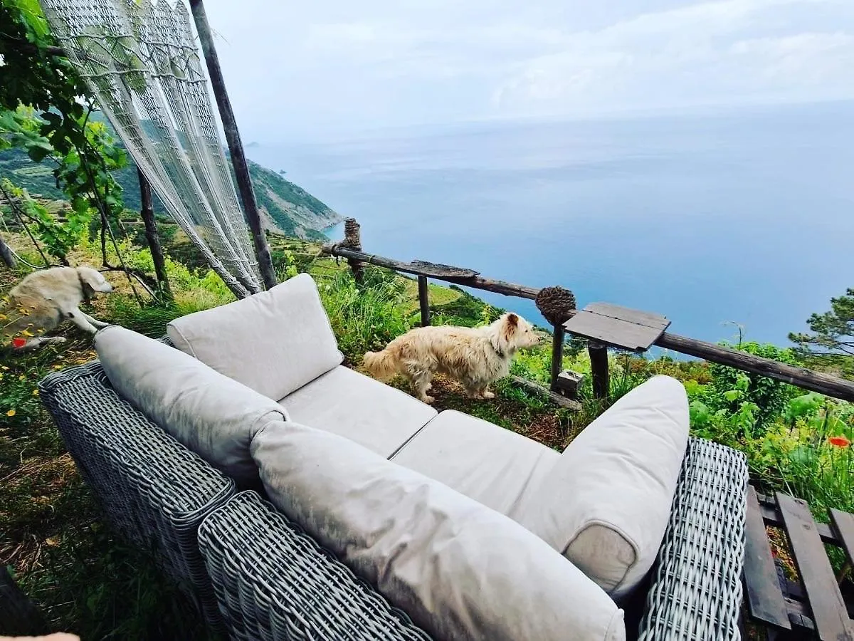 Refuge Uwabio Organic Vineyard Cinqueterre Villa Riomaggiore